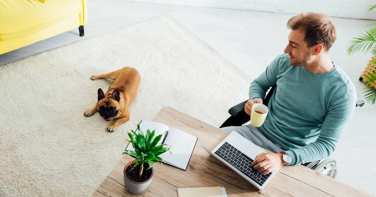 ein Mensch im Homeoffice, zuhause am Schreibtisch mit Hund